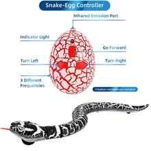 Realistic Remote Control Snake