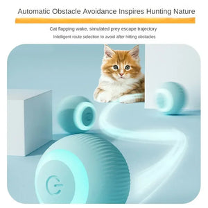 Automatic Moving Cat Interactive Toy