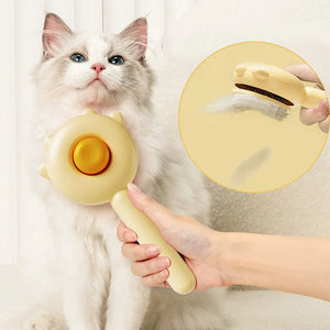 One-Key Hair Removal Cleaning Brush