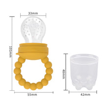 Baby Pacifier Fruit Feeder