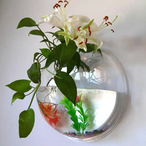 Transparent Mini Aquarium