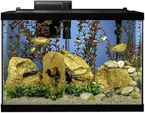 20 Gallon Fish Tank Kit Includes LED Lighting and Decor