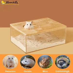 Hamster Bathroom House Sandbox