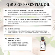100ML Essential Oils for Diffuser Humidifier