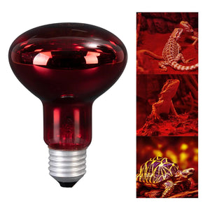 Pet Heat Light Bulb