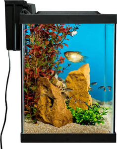 20 Gallon Fish Tank Kit Includes LED Lighting and Decor