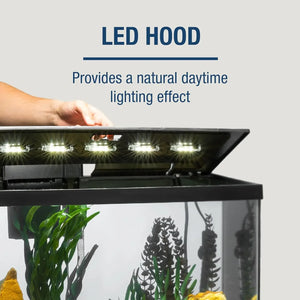 20 Gallon Fish Tank Kit Includes LED Lighting and Decor