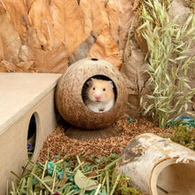 Coconut Hut Small Animal House