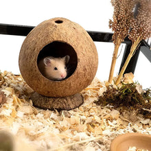 Coconut Hut Small Animal House