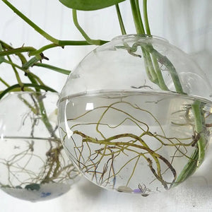 Acrylic Plexiglass Fish Bowl