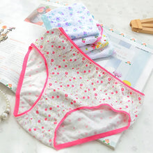 12Pcs Cotton Panties