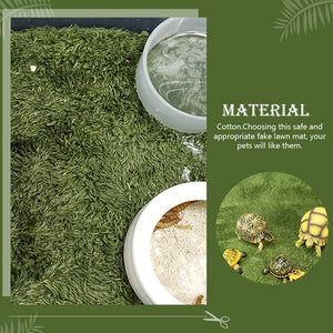 Terrarium Bedding-f- Sands & Substrates Moss Rug