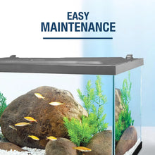 20 Gallon Fish Tank Kit Includes LED Lighting and Decor