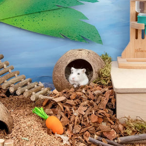 Coconut Hut Small Animal House