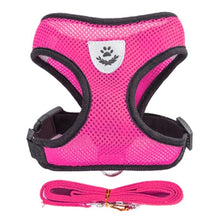 Adjustable Small Pet Vest Harness