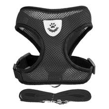 Adjustable Small Pet Vest Harness