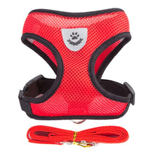 Adjustable Small Pet Vest Harness