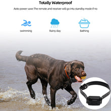 Waterproof Rechargeable Remote Control 800m Digital Dog Training Collar