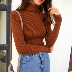 Elegant Turtleneck Sweater