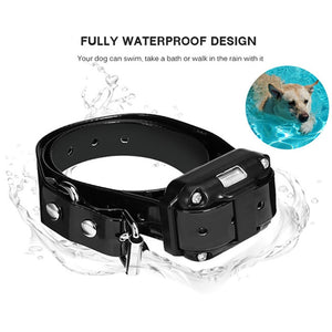Waterproof Electric Dog Training Collar