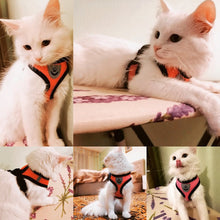 Adjustable Small Pet Vest Harness