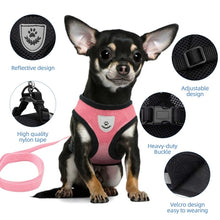 Adjustable Small Pet Vest Harness