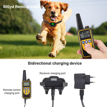 Waterproof Rechargeable Remote Control 800m Digital Dog Training Collar