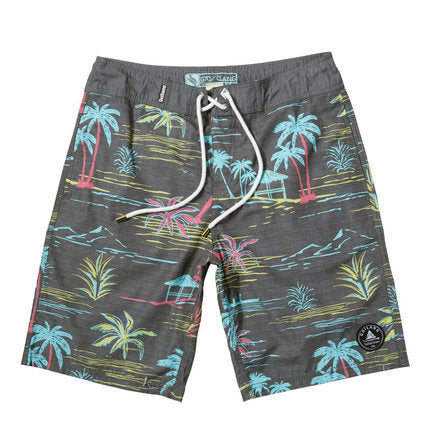 Men's Quick-drying Palm Tree Printed Swimwear