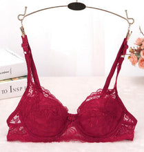 Underwire Full Cup Sheer Bra